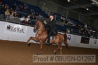 08usn-01297 proof