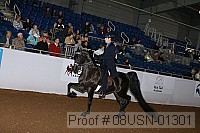 08usn-01301 proof