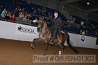 08usn-01302 proof