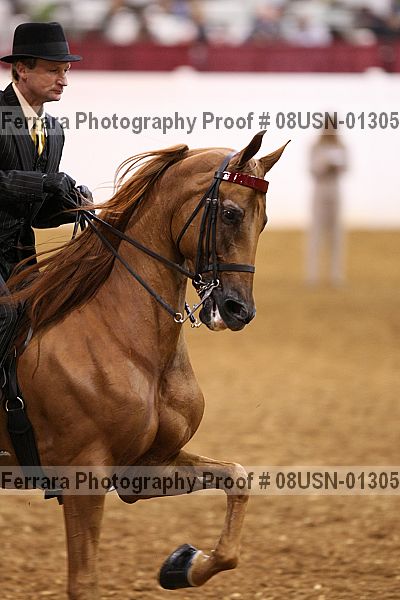 Proof 08usn-01305