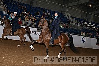 08usn-01306 proof
