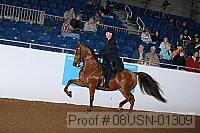 08usn-01309 proof