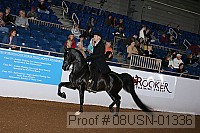 08usn-01336 proof