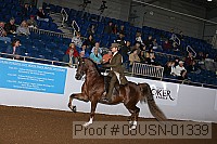 08usn-01339 proof
