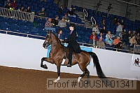08usn-01341 proof