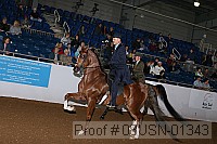 08usn-01343 proof