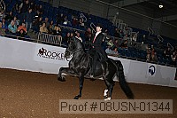 08usn-01344 proof