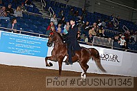08usn-01345 proof