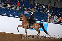 08usn-01346 proof