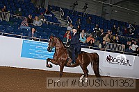 08usn-01352 proof