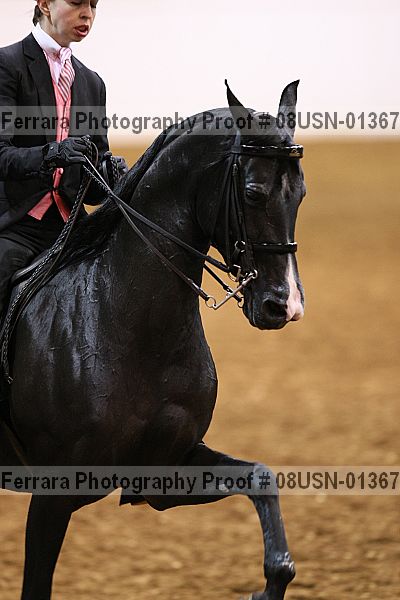 Proof 08usn-01367