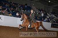 08usn-02026 proof
