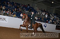 08usn-02027 proof