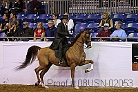 08usn-02053 proof