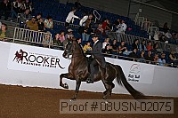 08usn-02075 proof