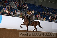08usn-02077 proof