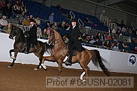 08usn-02081 proof
