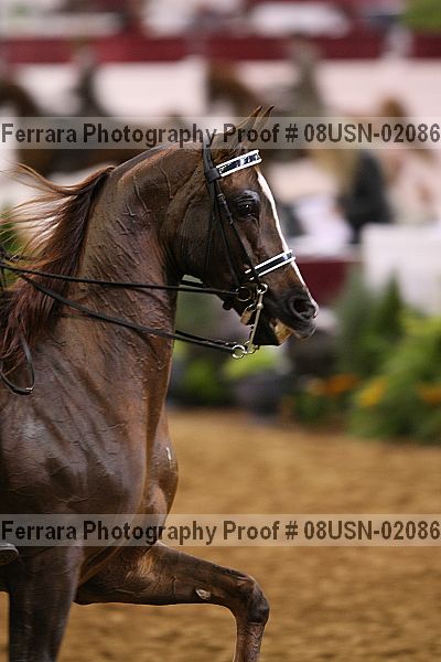 Proof 08usn-02086