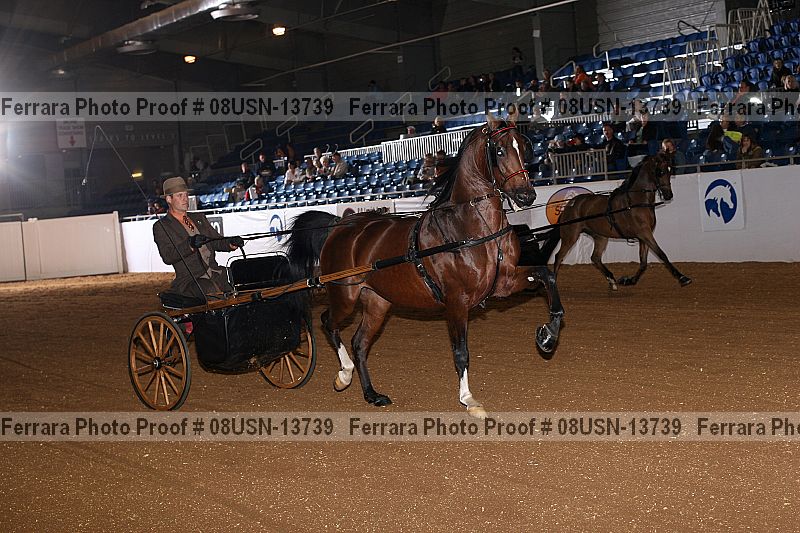Proof 08usn-13739