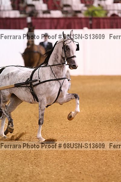 Proof 08usn-s13609