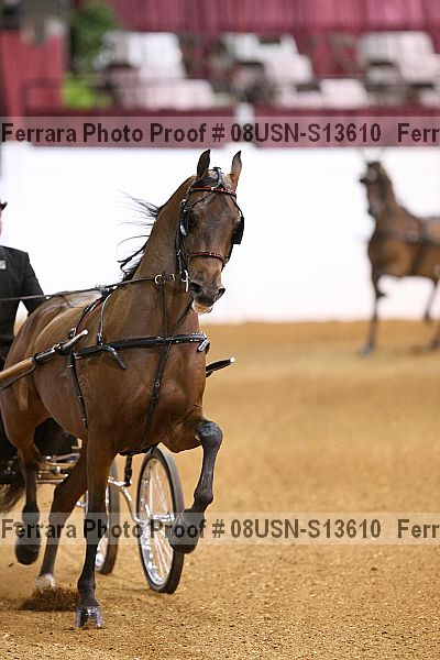 Proof 08usn-s13610