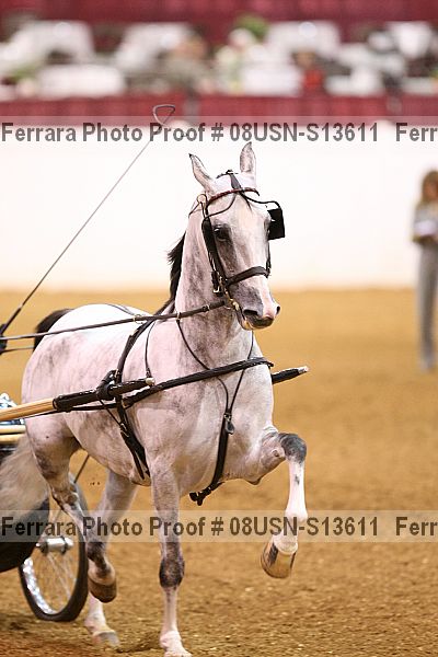 Proof 08usn-s13611