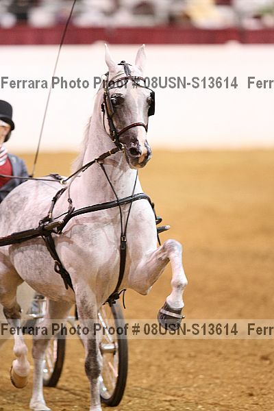 Proof 08usn-s13614