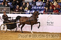 08usn-s13617 proof