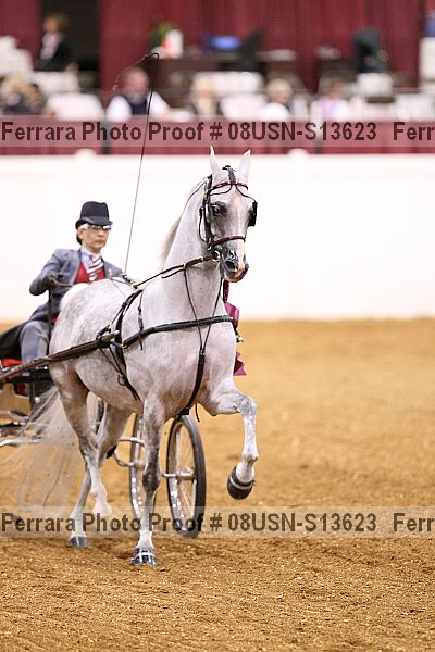Proof 08usn-s13623