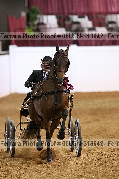 Proof 08usn-s13642