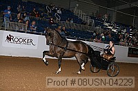 08usn-04229 proof