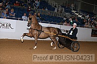 08usn-04231 proof