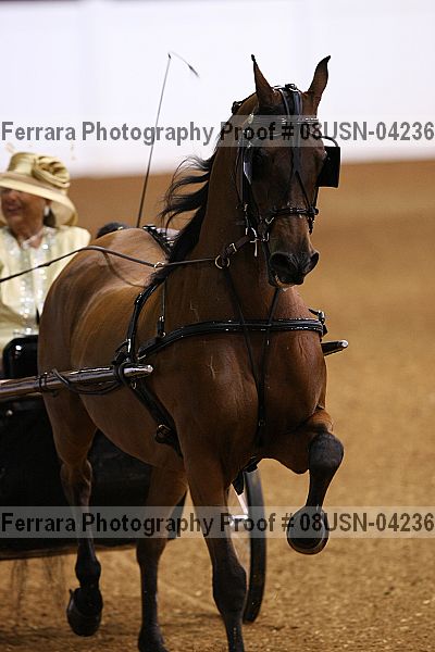 Proof 08usn-04236