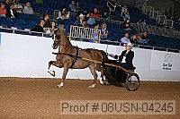08usn-04245 proof