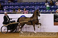 08usn-04254 proof