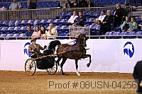 08usn-04256 proof