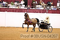 08usn-04267 proof