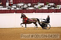 08usn-04287 proof