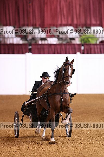 Proof 08usn-06015