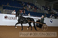 08usn-06016 proof