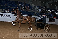 08usn-06017 proof