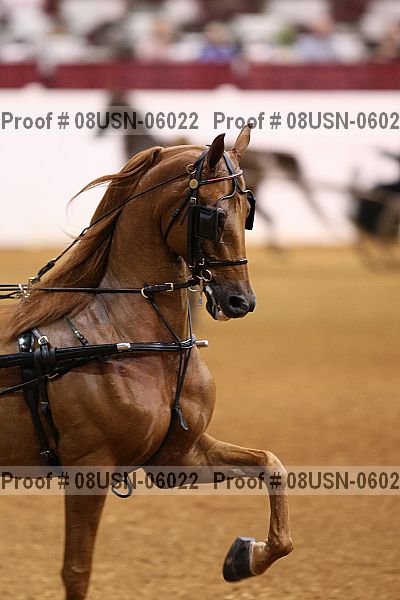 Proof 08usn-06022
