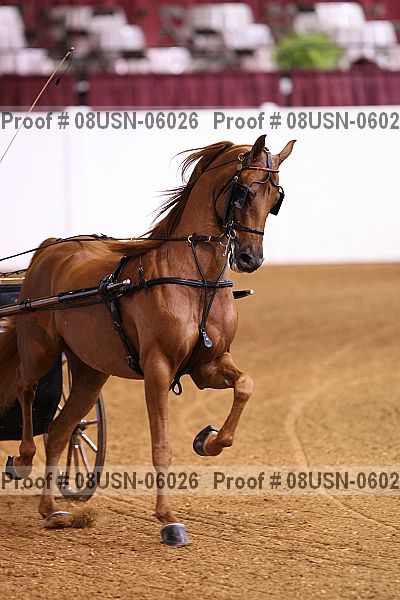 Proof 08usn-06026