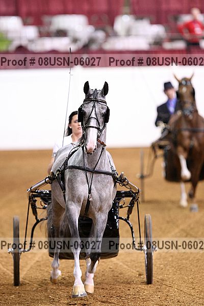 Proof 08usn-06027