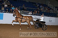 08usn-06032 proof