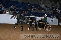 08usn-06036 proof