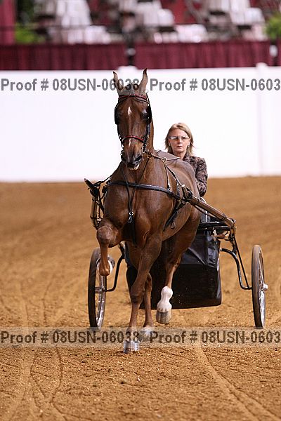 Proof 08usn-06038