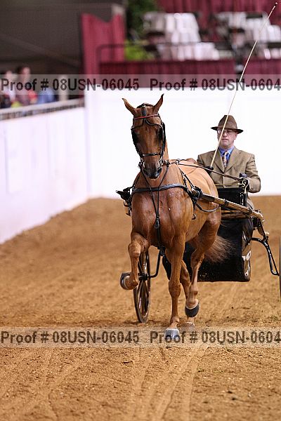 Proof 08usn-06045