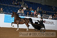 08usn-06046 proof