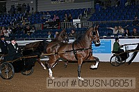 08usn-06051 proof